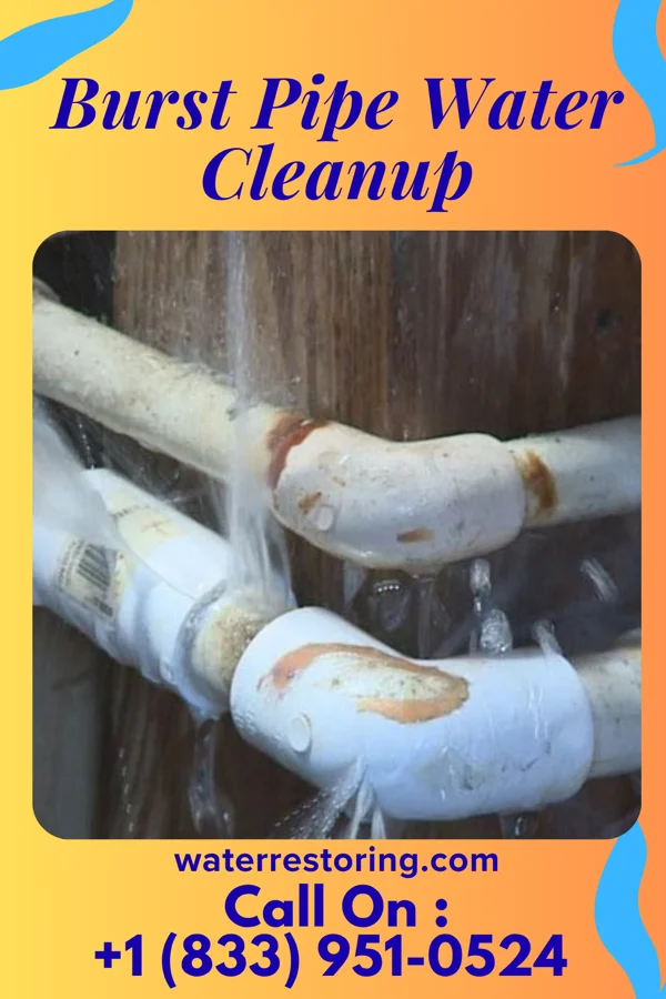Burst Pipe Water Cleanup in Cullison, KS