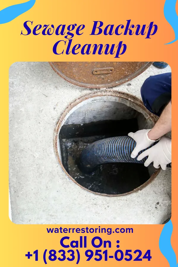 Sewage Backup Cleanup in Cullison, KS